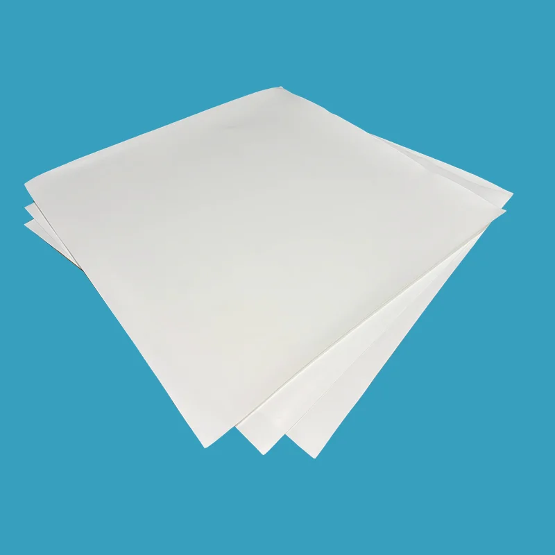 Glasfiberfylld PTFE-skiva